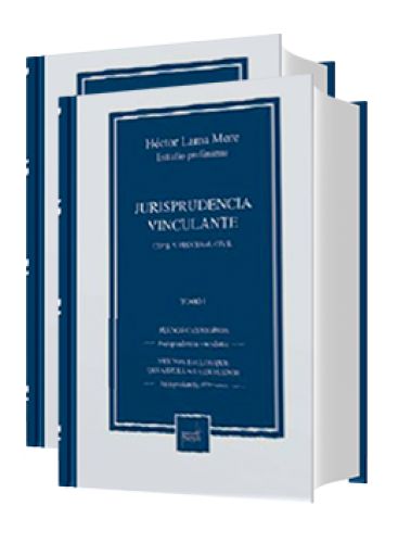JURISPRUDENCIA VINCULANTE CIVIL Y PROCES..